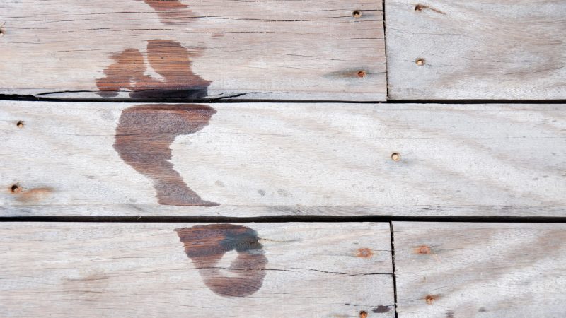 Zindelijk worden - Stapsgewijs Oefentherapie