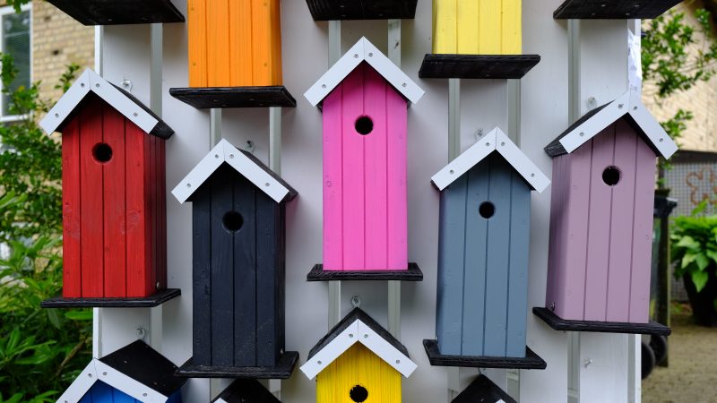 Ontwikkelingsachterstand bij kinderen - Stapsgewijs Oefentherapie